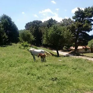 Bosco Pianetti Santuario di Gibilmanna